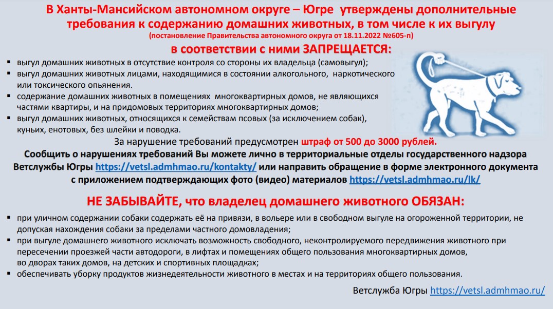 В Ханты-Мансийском автономном округе – Югре утверждены дополнительные требования к содержанию домашних животных, в том числе к их выгулу 